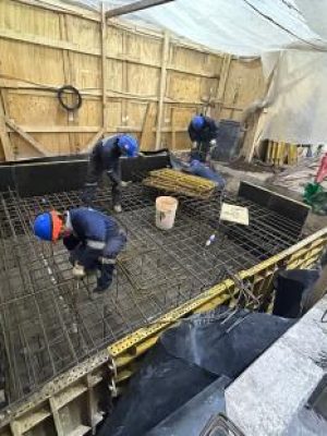 OOCC VARIAS EN PLANTA PRODUCTOS PUROS – MOLYMET S(1)