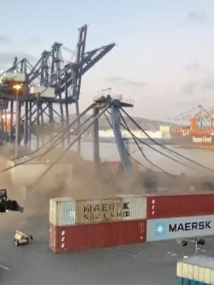 SAN ANTONIO TERMINAL INTERNACIONAL(3)